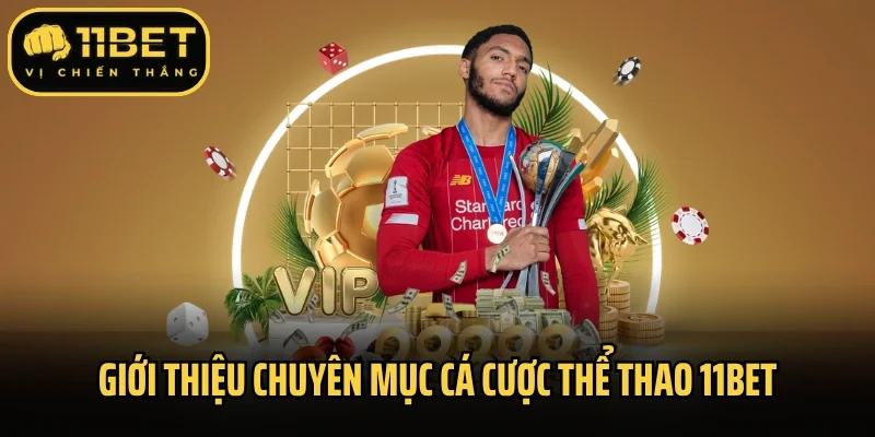Giới thiệu chuyên mục cá cược thể thao 11bet