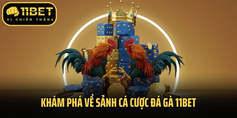 Khám phá về sảnh cá cược đá gà 11Bet